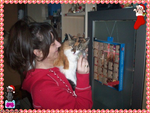 22.Felltürchen! 22.Felltag!