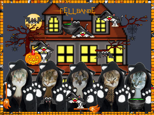 Fellbande schnurrt ein Felliges Felloween!