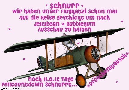 Fellbandes Flugkatzi!