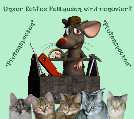 Fellbandes Umbaumaus!