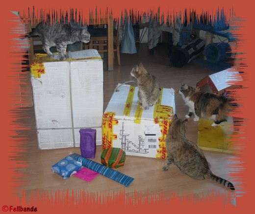 Fellbandes Schenkis!