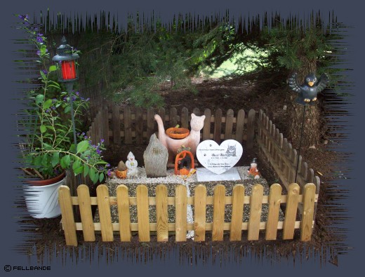 Bärlis&Puppis Fellgrabeln im Felloweenstyle! Bärlis&Puppis Fellgrabeln im Felloweenstyle!