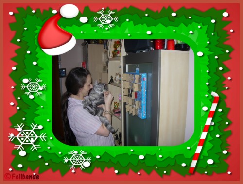 Fellbandes Fellventkalender Felltag 20!