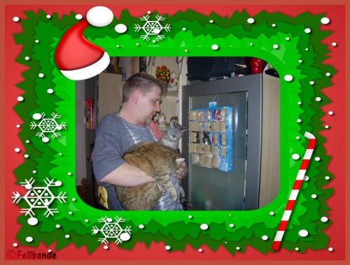 Fellbandes Fellventkalender Felltag 21!