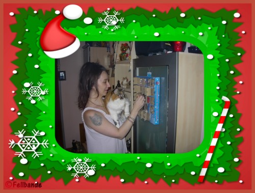 Fellbandes Fellventkalender Felltag 22!