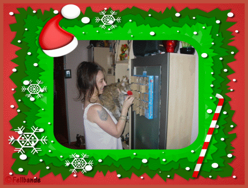 Fellbandes Fellventkalender Felltag 24!