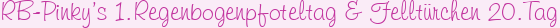 RB-Pinky’s 1.Regenbogenpfoteltag & Felltürchen 20.Tag