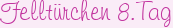 Felltürchen 8.Tag