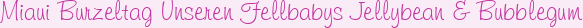 Miaui Burzeltag Unseren Fellbabys Jellybean & Bubblegum